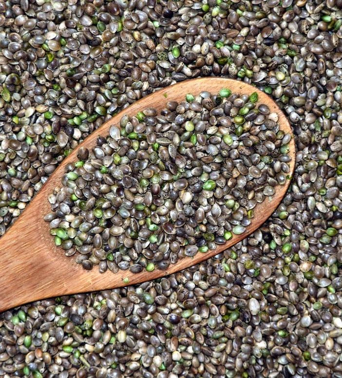 Le virtù dei semi di cannabis
