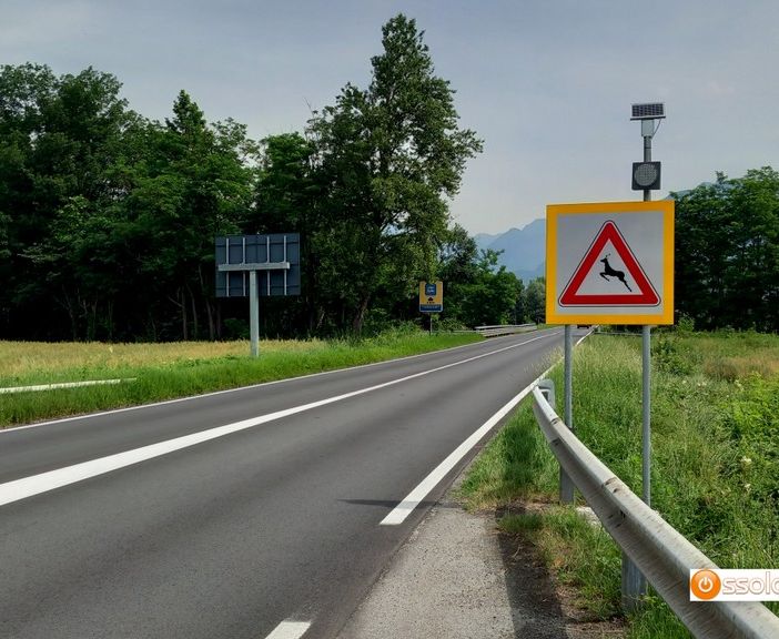 Ungulati, nuovi cartelli di pericolo sulle strade provinciali
