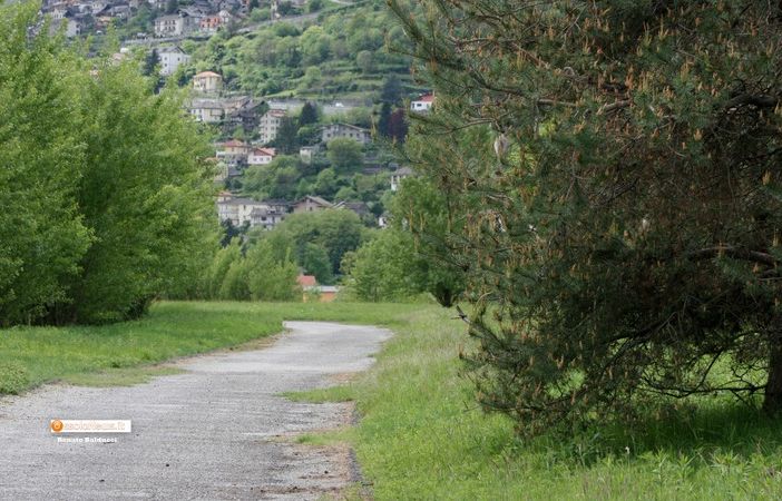 Sulla collina dello sport il Campionato regionale a staffetta