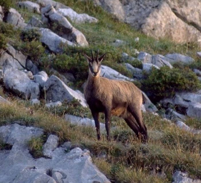 Val Grande, nuovo appuntamento con i safari escursionistici
