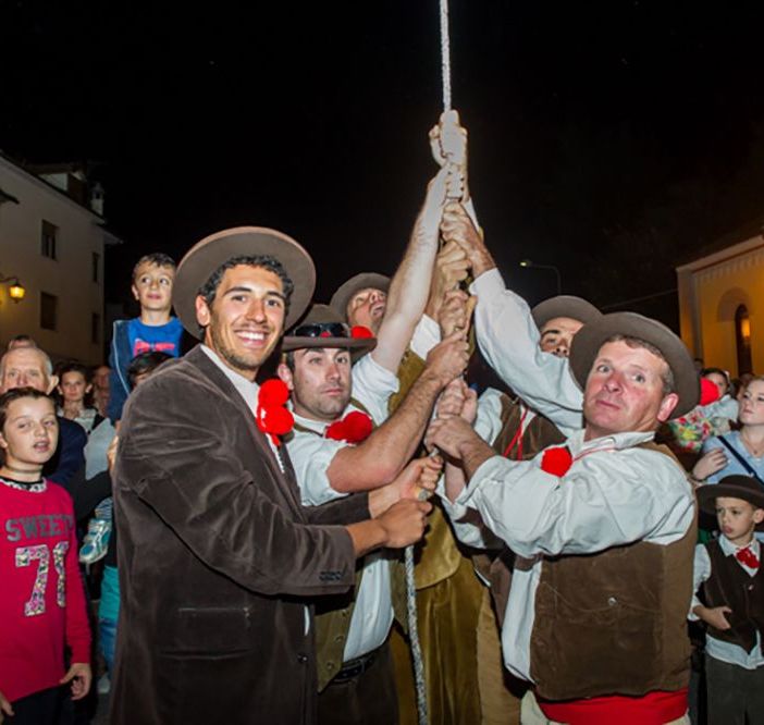 Foto archivio tirata del bue