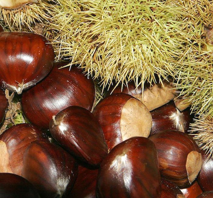 Castagnata al parco giochi di Ornavasso