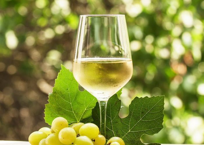 Tempo di vendemmia in Ossola: &quot;Sarà un'ottima annata&quot;