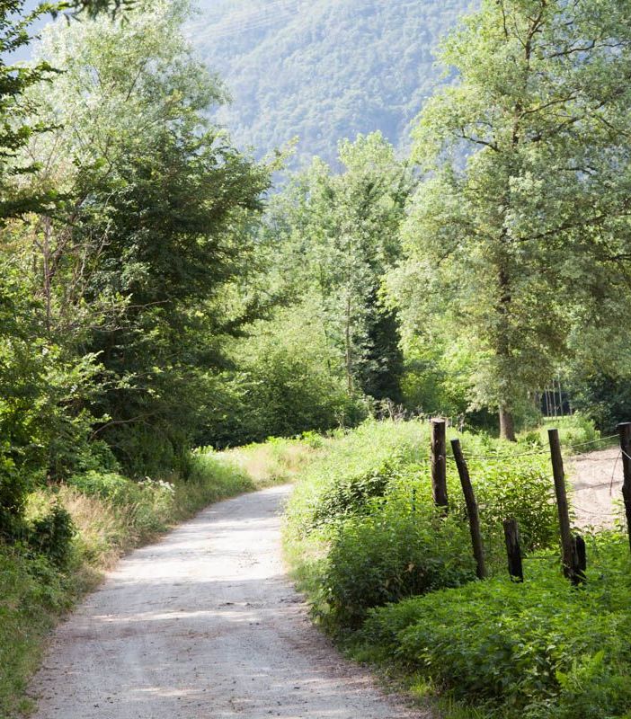 Tre nuove piante nel Bosco Tenso in ricordo di tre grandi donne