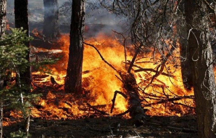 Incendi boschivi, indagine dell'Uncem per capire come vanno prevenzione e gestione dell'emergenza