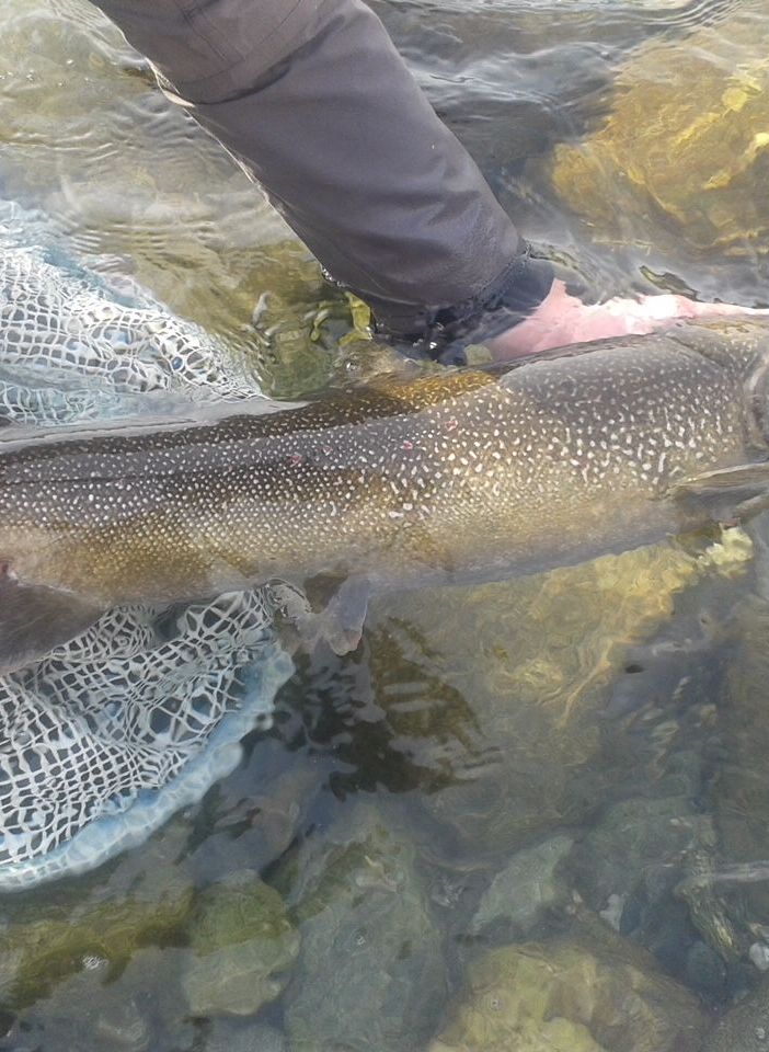 Apre la pesca in Val Grande