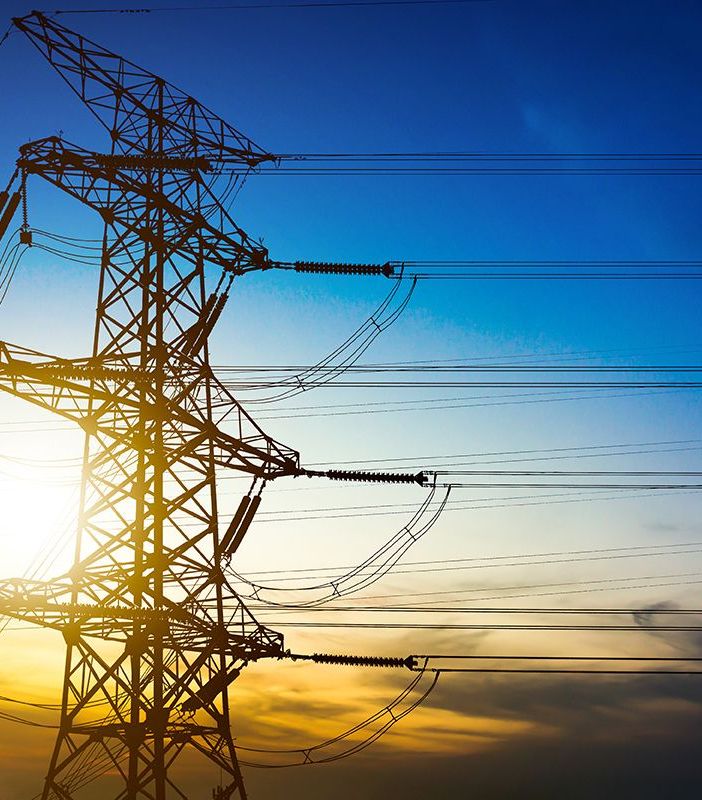 Qual è la differenza tra Enel e il Servizio Elettrico Nazionale?