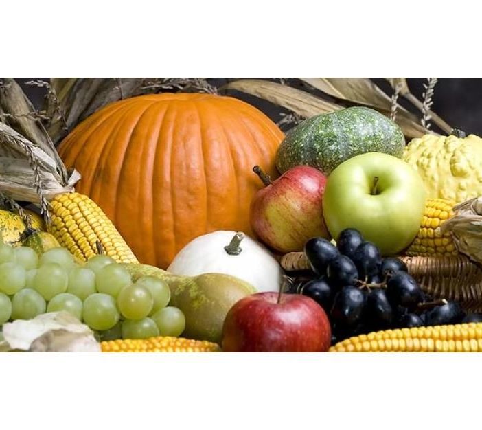 &quot;Maltempo e aumento dei costi dei trasporti mettono a rischio la frutta Made in Piemonte&quot;