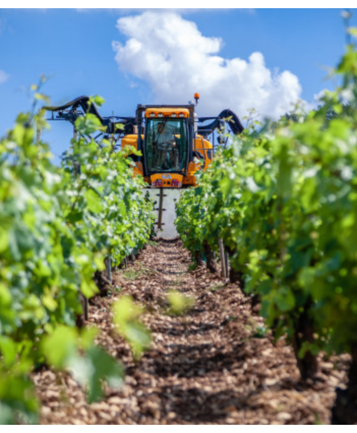 Nuove misure di sostegno per le aziende agroalimentari del Piemonte