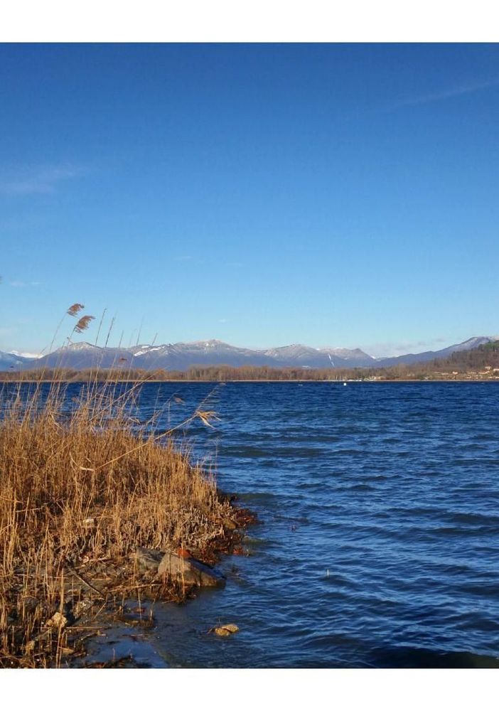 Legambiente, bilancio non positivo per il lago Maggiore. Meglio  quello di Orta