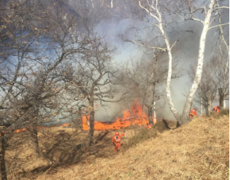 Incendio sopra Ornavasso, Fulgosi: “Chiunque abbia notizie o abbia visto la partenza delle fiamme è pregato di contattarmi”