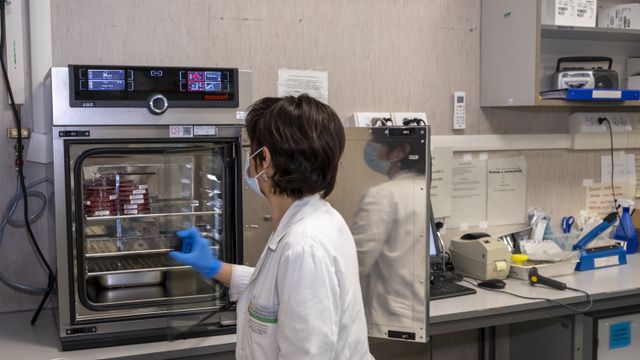 Nuove speranze per comprendere l'autismo: UniTo e Città della Salute scoprono un gene responsabile