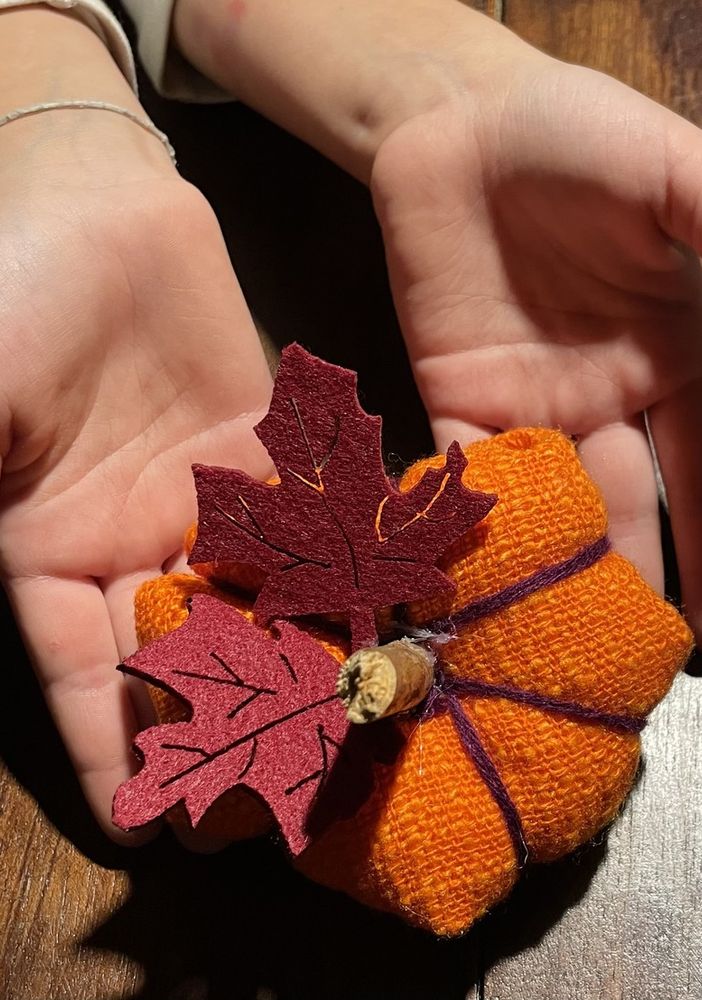 Grande successo per il laboratorio di zucche per i bambini di Trasquera
