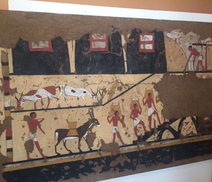 Visita guidata alla mostra &quot;Liberi di imparare&quot;  ﻿