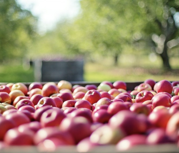 Dalla Fondazione Cariplo 248mila Euro per la produzione di succo di mele ossolano