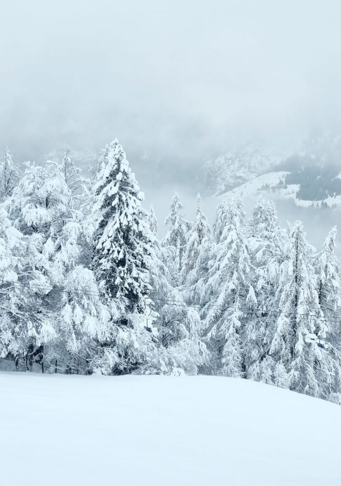Manca la neve, l'allarme di Coldiretti: &quot;Agricoltura e turismo in pericolo&quot;