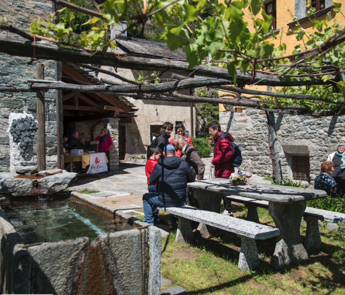 Sale l'attesa per 'Ossola in Cantina': tanti i biglietti già venduti