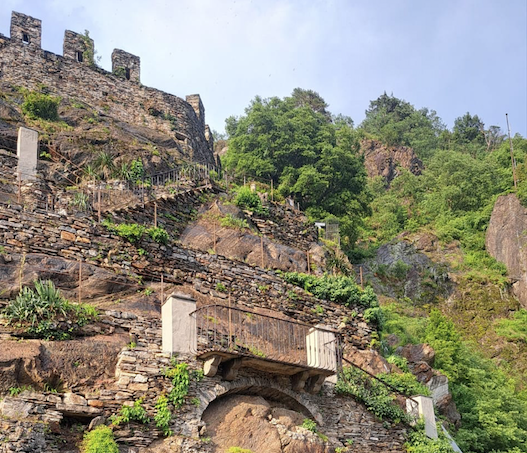 Il Parco Val Grande ha inaugurato il rinnovato giardino verticale di Villa Biraghi