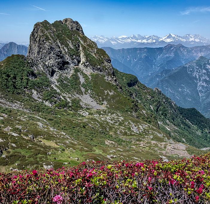 Anche un neozelandese tre le 1200 persone salite in cima al Pedum