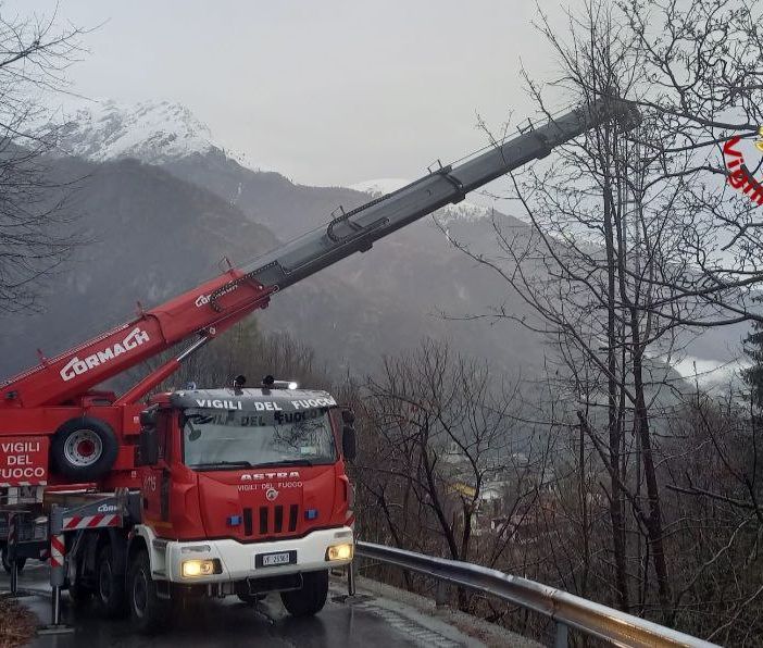 Asina gravida cade in un torrente, salvata con l'autogru dei Vigili del fuoco