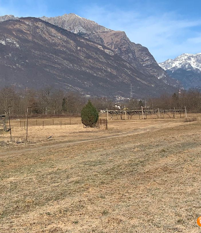 Siccità, il punto della situazione con le Province: è il quinto gennaio più secco degli ultimi 65 anni