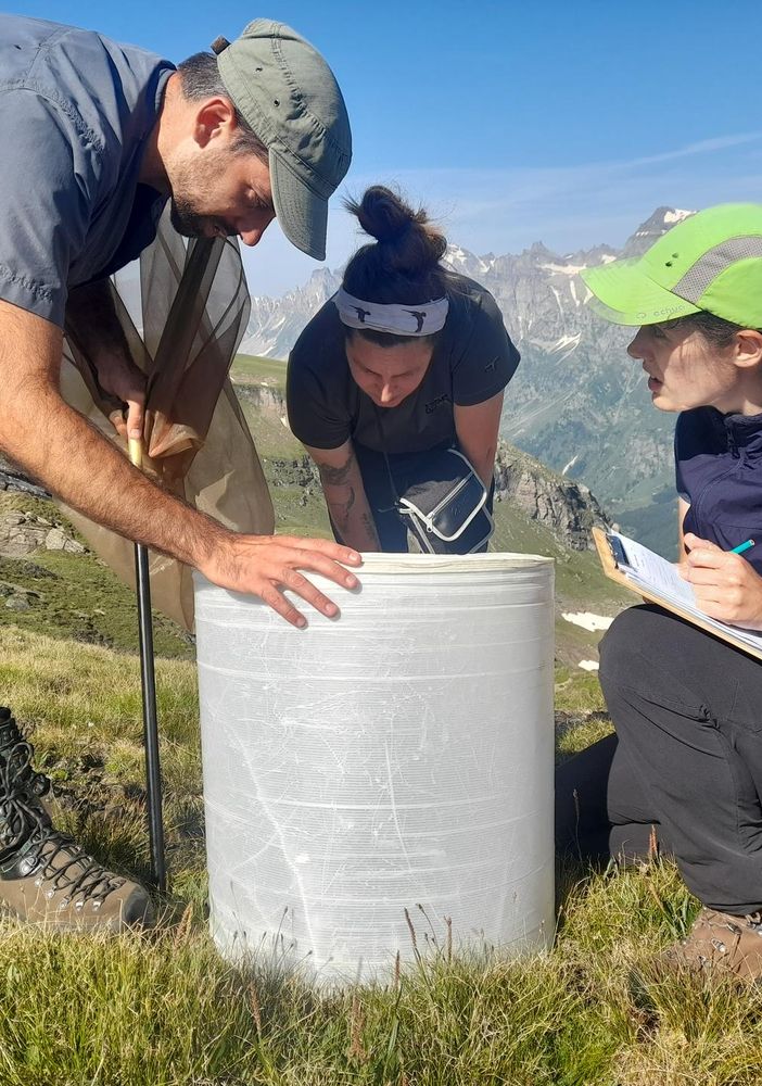 &quot;Biodiversità&quot;, il progetto di monitoraggio alpino tra parchi piemontesi