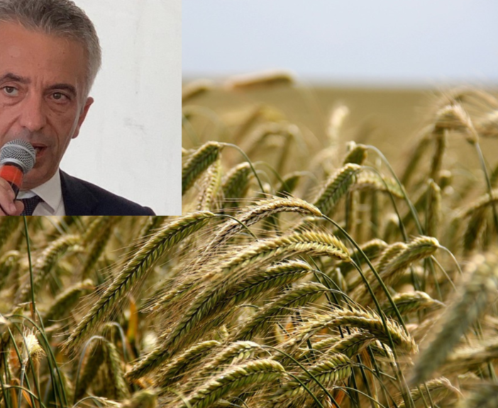 Sviluppo rurale: 20 milioni di euro per le aziende agricole piemontesi