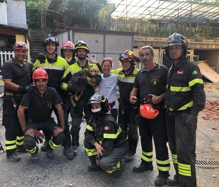 Crollo palazzina, a 30 ore dalla tragedia salvato il cane Ettore