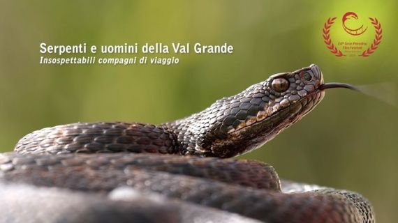 Un successo il documentario &quot;Serpenti e uomini della Val Grande&quot;