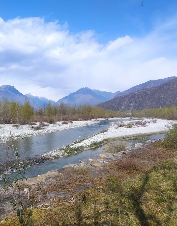 Alla scoperta dei tesori naturali del Toce con il bioBlitz &quot;Un fiume di natura&quot;