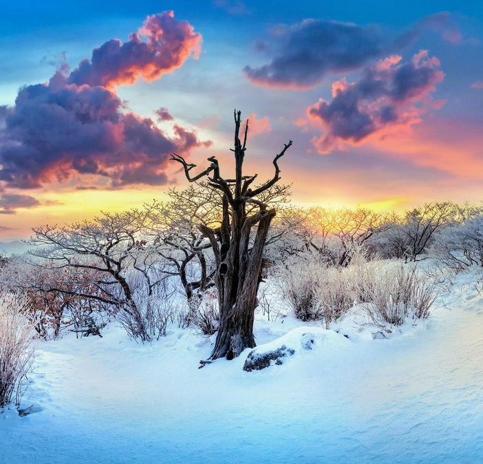 Oggi è il 21 dicembre, solstizio d’inverno: è il giorno più corto dell’anno