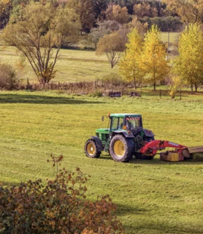 Agricoltura, la Regione proroga le misure agroambientali del Psr con 1 milione e mezzo di euro