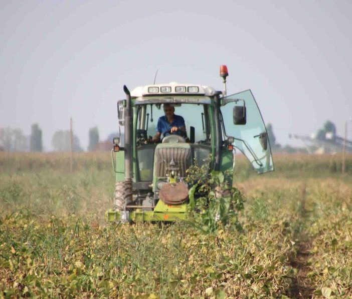 Coldiretti Piemonte: &quot;Altri 3 miliardi per l'agricoltura dal Pnrr&quot;