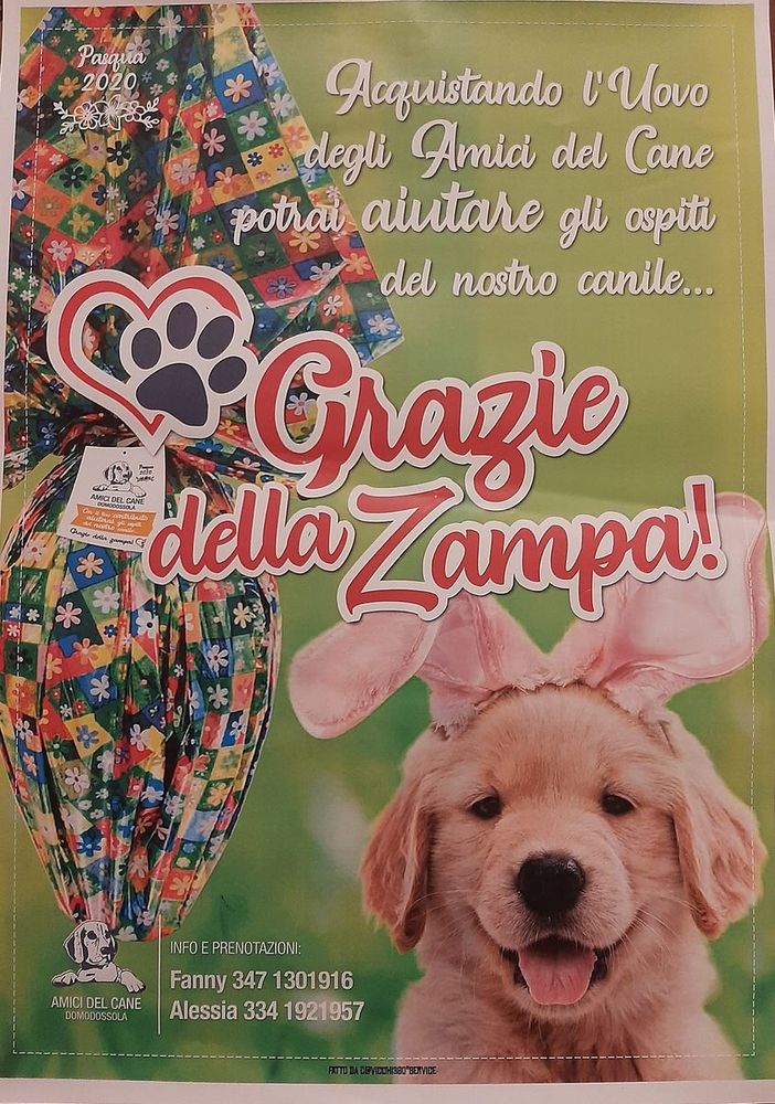Amici del Cane, al via le prenotazioni per le uova di Pasqua