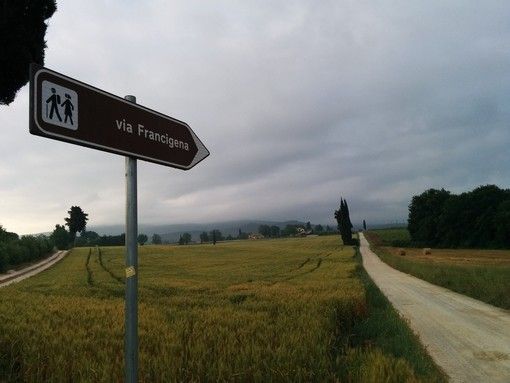 Tirocini extracurricolari, nuovo avviso per candidarsi al progetto Via Francigena for All