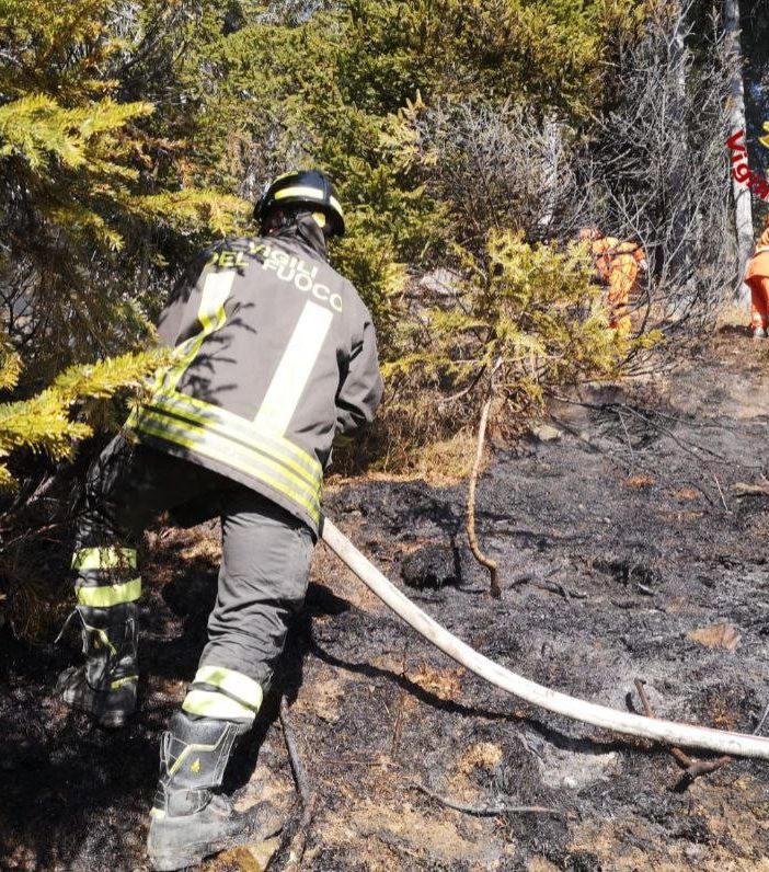 Incendio nel bosco alla Piana di Vigezzo: intervento dei vigili del fuoco