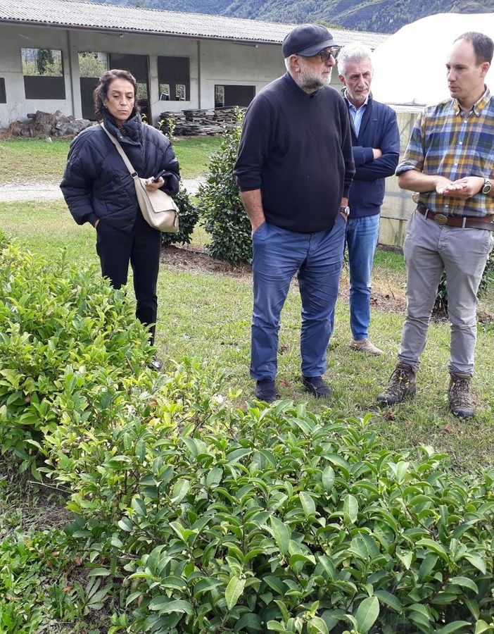 Ad Alessandro Zacchera il premio nazionale Bandiera Verde Agricoltura