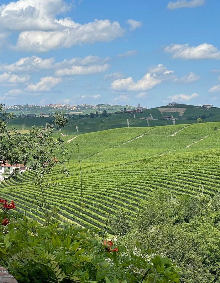Un territorio &quot;Ai piedi dei monti&quot;: ecco il Piemonte