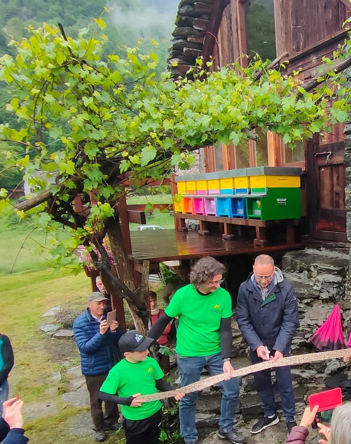 Inaugurato il primo apiario del benessere del Vco