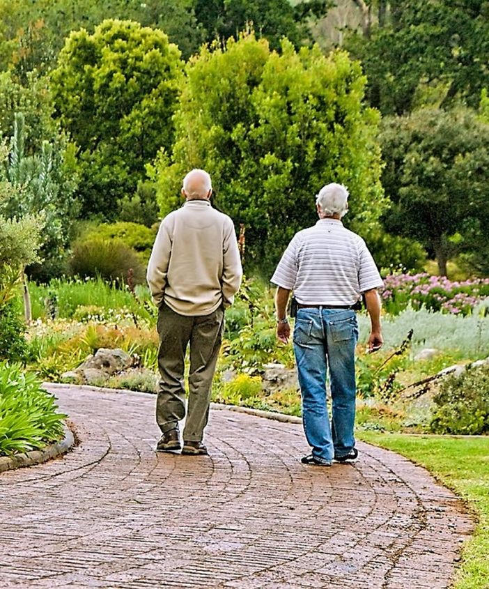 Il Verbano Cusio Ossola non è una provincia per anziani