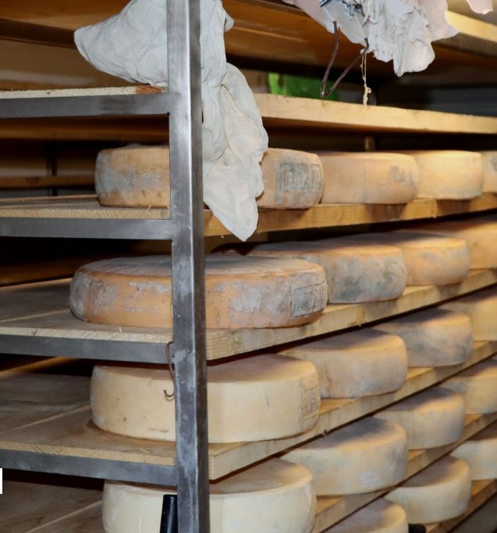''Fior di Prata'', come produrre formaggio a due passi dal salotto di Domodossola
