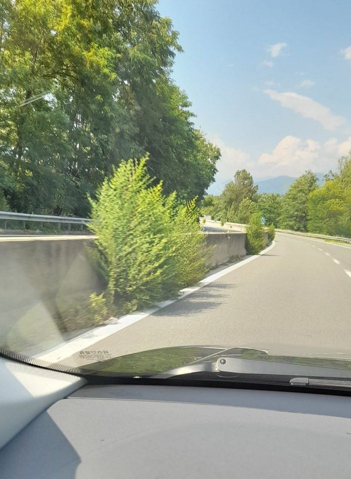 ''Vegetazione pericolosa sulla statale 33: va tagliata''