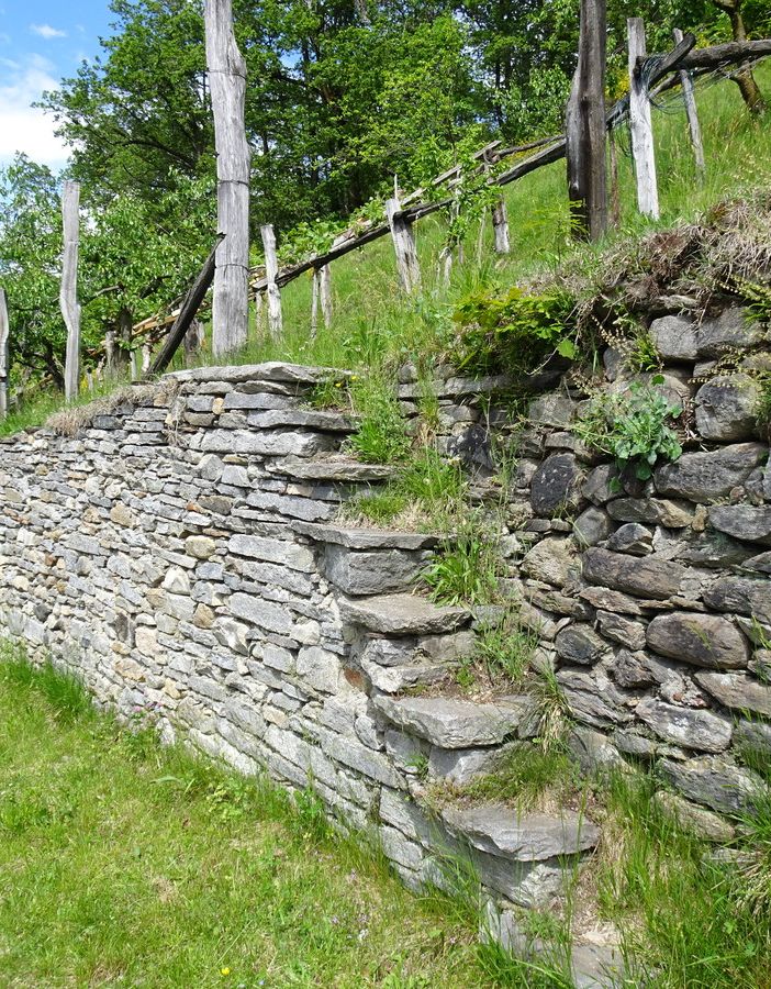 Terrazzamenti alpini patrimonio da valorizzare e conservare