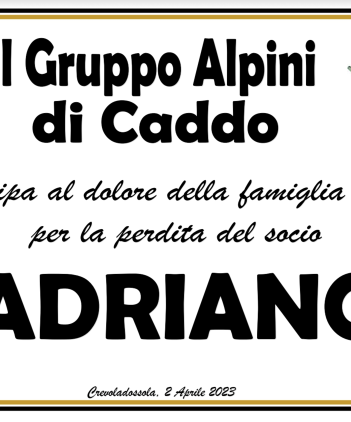 Partecipazione