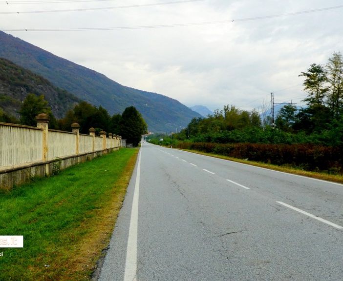 Pericolo ungulati tra Villadossola e Pallanzeno