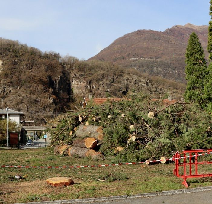 Piazza Lecomte nel novembre 2020, dopo il taglio degli alberi pericolanti