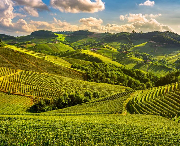Vino, Sostantivo Femminile: sul Lago Maggiore “vetrina” per 100 produttrici