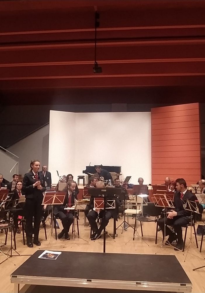 Un successo il viaggio musicale in onore di Santa Cecilia VIDEO