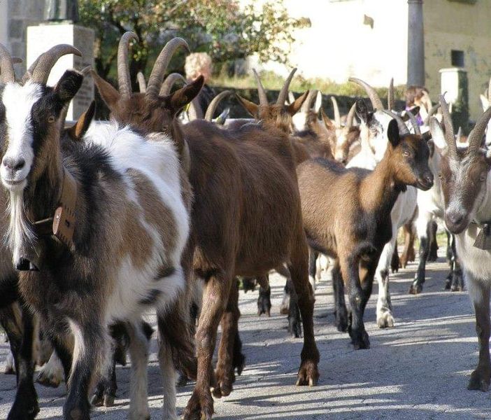 Conto alla rovescia per Craf in Crof 2022