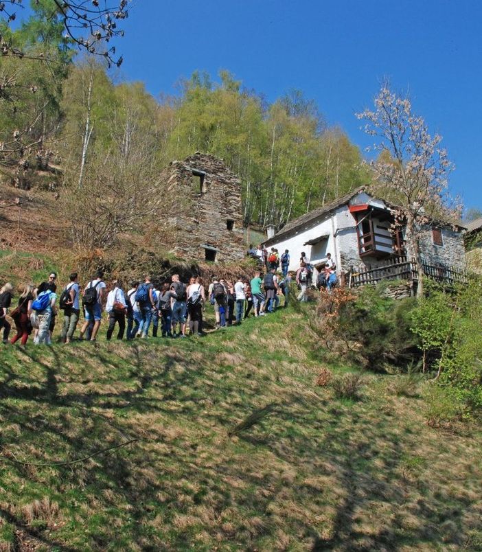A spasso tra i paesaggi terrazzati del Parco Val Grande